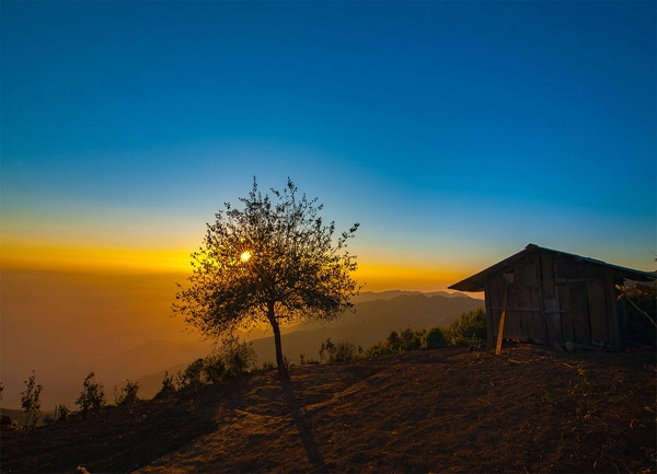 Ta Xua Lonely Apple Tree
